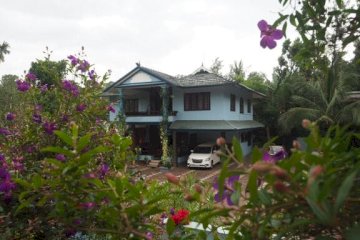 Jungle Stay Kalpeta Kerala