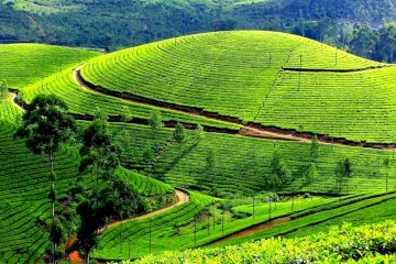 Bangalore to Ooty (TN) Trip